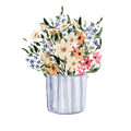 Image Not Available
